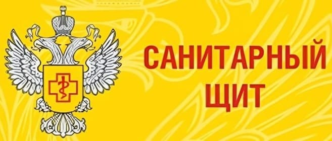 «Санитарный щит-безопасность для здоровья (предупреждение, выявление, реагирование)».